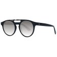 Ladies Sunglasses WEB EYEWEAR For Discount