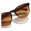 Unisex Sunglasses Crush Hawkers Brown Online