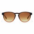 Unisex Sunglasses Crush Hawkers Brown Online