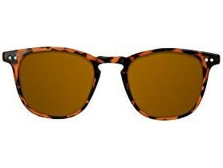 Unisex Sunglasses Northweek Wall Tortoise Brown Tortoise (Ø 45 mm) Online now