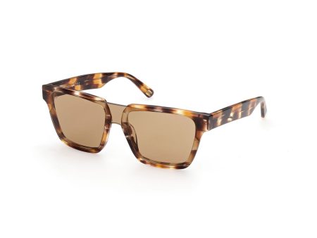 Men s Sunglasses Web Eyewear WE0314-0041F Hot on Sale